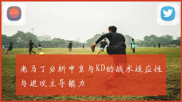 老马丁分析申京与KD的战术适应性与进攻主导能力