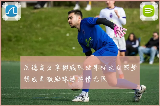 厄德高分享挪威队世界杯大合照梦想成真激励球迷热情无限